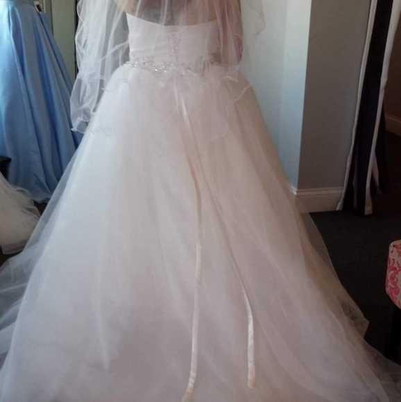 Designer Wedding Dress - Picture 3 of 4